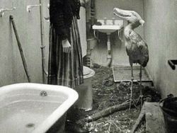 Foto Bersejarah dengan Kisah Mencengangkan, Tragis dan Ngeri!