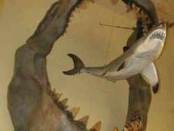 Foto Bersejarah dengan Kisah Mencengangkan, Tragis dan Ngeri!