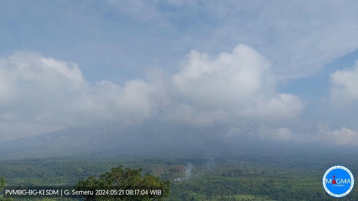 gunung semeru erupsi Selasa, 21 Mei 2024, pukul 08:17 WIB dengan tinggi kolom abu teramati ± 800 m