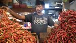 Harga Cabai Rawit Sekarang Sepedas Ini
