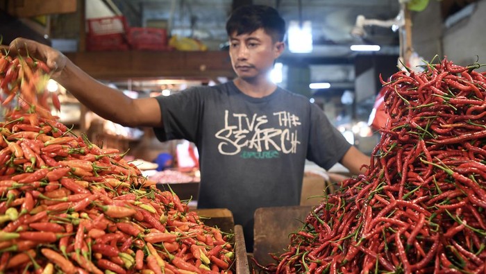 Pedagang memilah cabai rawit yang dijual di Pasar Senen, Jakarta, Selasa (21/5/2024). Menurut panel harga pangan Badan Pangan Nasional (Bapanas), harga sejumlah komoditas pangan terpantau masih mengalami tren kenaikan seperti cabai rawit merah masih naik 2,89 persen dengan harga Rp45.280 per kilogramnya. ANTARA FOTO/M Risyal Hidayat/aww.