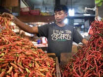 Harga Cabai Merah di Sumut Anjlok, Paling Murah di Simalungun Rp 34 Ribu/Kg
