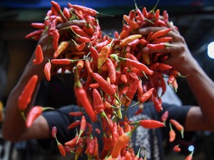 Harga Cabai Hingga Bawang Merah Tercatat Turun Tipis