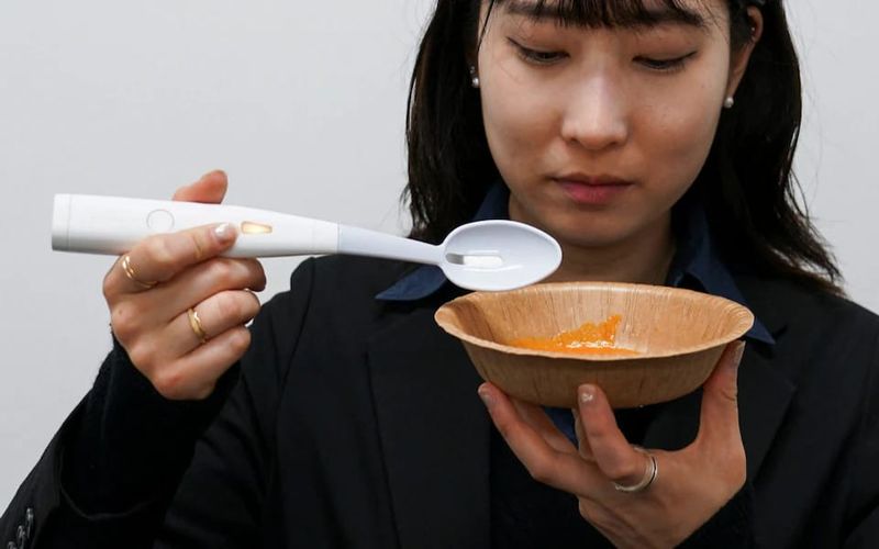 Keren! Sendok Rp 2 Juta Ini Bisa Beri Rasa Asin Makanan Tanpa Garam