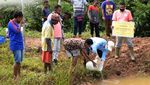 Jurus TSE Adopsi Kebijakan NDPE di Perkebunan Kelapa Sawit
