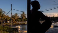 Pada kurun waktu 2016-2023 terdapat 238 petak tambak udang dengan luasan lahan 42,08 hektare yang tersebar di 33 titik mengepung pulau utama Desa Karimunjawa dan Desa Kemujan, dengan mayoritas kategori semiintensif dan intensif. Sebagian besar tambak-tambak itu dimiliki oleh warga dari luar Karimunjawa.