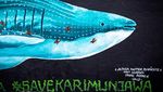 Lara Ibu Pertiwi di Karimunjawa