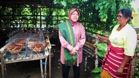 Risma melanjutkan dengan memfasilitasi komunitas untuk beternak ayam petelur, seperti di Dasawisma Desa Lewapaku, Lewa, Sumba Timur. Mama Bechi Adoe, salah satu penerima manfaat menyatakan akan memanfaatkan bantuan Kemensos berupa ayam yang sudah bertelur ini untuk meningkatkan gizi anak-anak.