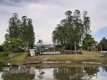 Respons Unri soal Mahasiswa PPDS Bunuh Diri Akibat Tekanan Psikologis