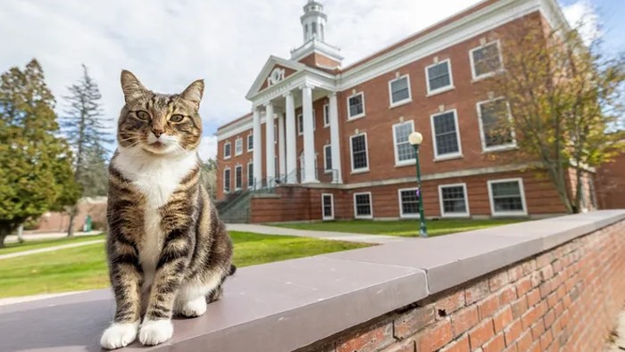 Max Diberi Gelar Vermont State University