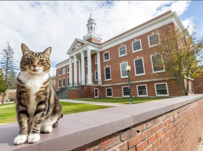 Max Diberi Gelar Vermont State University