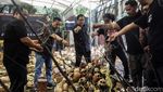 Ribuan Instalasi Kuburan dan Tengkorak Mejeng di Peringatan 26 Tahun Reformasi