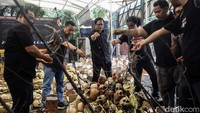 Para aktivis melakukan aksi tabur bunga instalasi kuburan dan tengkorak.