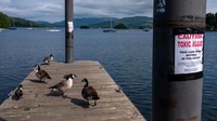 Namun sayangnya, keindahan danau ini tercoreng dengan kualitas airnya yang semakin mengkhawatirkan.