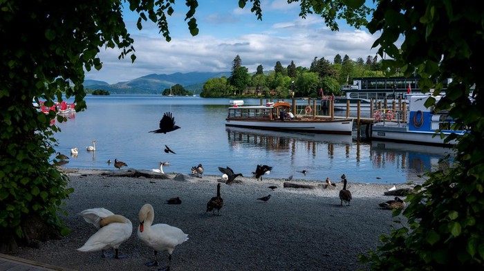 Potret Danau Terindah Inggris yang Kualitas Airnya Makin Mengkhawatirkan A pleasure boat leaves from a jetty on the banks of Lake Windermere, the largest lake in England, after a British government minister described it's water quality as