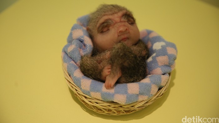 Siap-siap Terpukau Instalasi Hiperealistis Karya Patricia Piccinini di Museum Macan Siap-siap Terpukau Instalasi Hiperealistis Karya Patricia Piccinini di Museum Macan