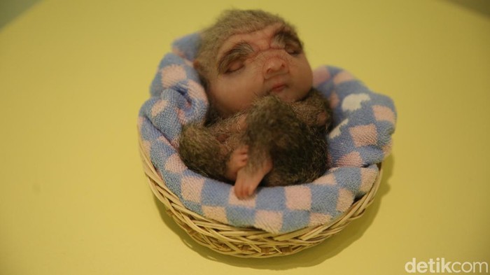 Siap-siap Terpukau Instalasi Hiperealistis Karya Patricia Piccinini di Museum Macan