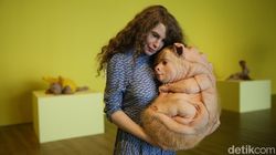 Siap-siap Terpukau Instalasi Hiperealistis Patricia Piccinini di Museum Macan Siap-siap Terpukau Instalasi Hiperealistis Patricia Piccinini di Museum Macan