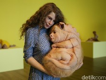 Ini 10 Pemenang Kuis Tiket Gratis Museum MACAN