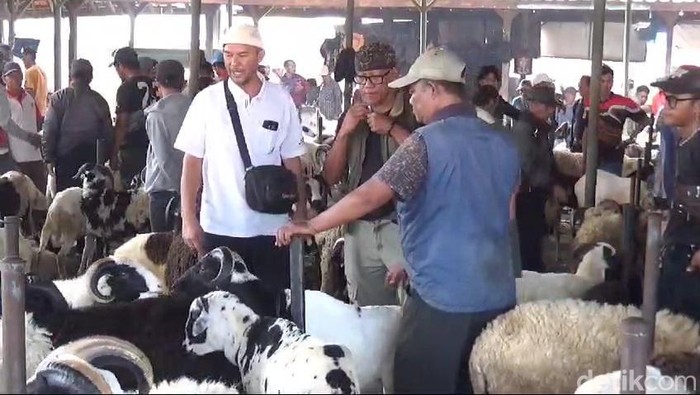 Suasana di Pasar Hewan Tanjungsari, Sumedang, Selasa (21/5/2024).