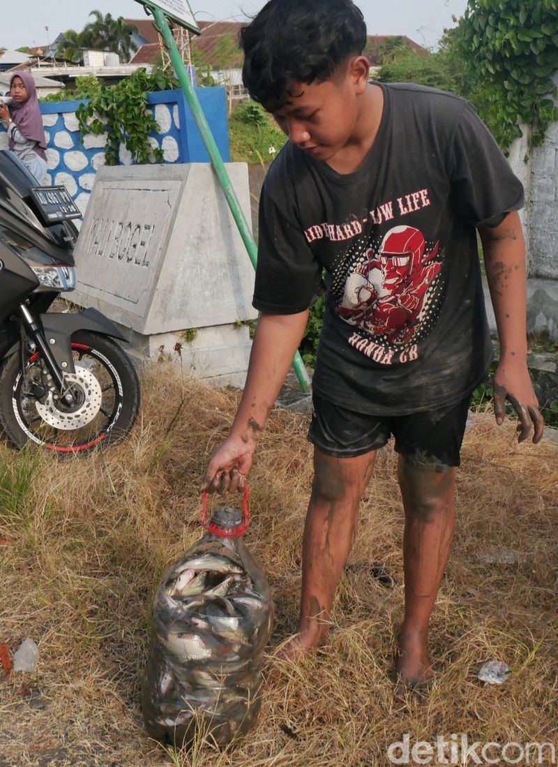 Warga melakukan pladu atau mencari ikan mabuk di waduk yang sedang flushin