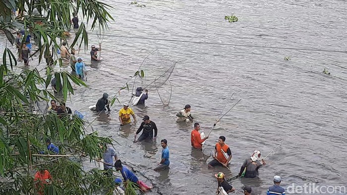 Warga melakukan pladu atau mencari ikan mabuk di waduk yang sedang flushin