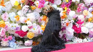 Bak Model, Begini Aksi Lucu Anjing di Pet Gala