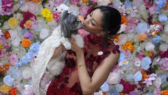 Bak Model, Begini Aksi Lucu Anjing di Pet Gala A dog and model attend the Pet Gala fashion show at AKC Museum of The Dog on Monday, May 20, 2024, in New York. (Photo by Charles Sykes/Invision/AP)