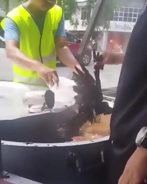 Burung Gagak Jatuh ke Panci, Penjual Sop Buntut Ini Rugi Rp 6,8 Juta