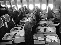 Deretan Foto Punya Kisah yang Bikin Tercengang