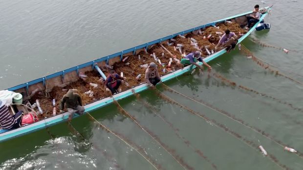 Kampung budidaya rumput laut di Mamolo, Nunukan Selatan. (Instagram @kkpgoid)