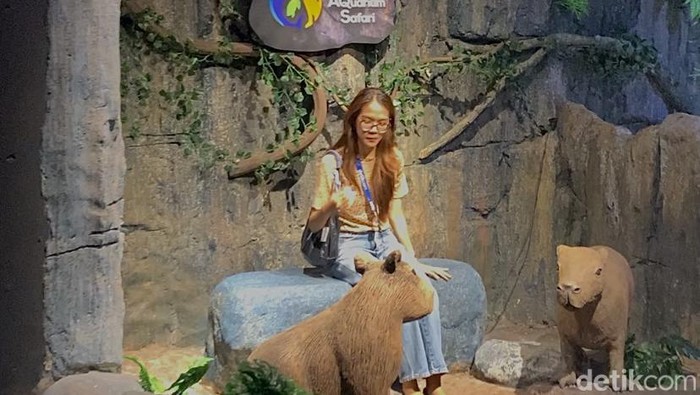 Kapibara di Jakarta Aquarium & Safari (JAQs)