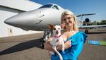 Maskapai Ini Tawarkan Penerbangan First Class untuk Anjing