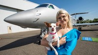 Bark Air merupakan maskapai yang khusus melayani penerbangan anjing-anjing dan orang tua mereka.  