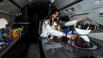 Maskapai Ini Tawarkan Penerbangan First Class untuk Anjing