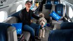 Maskapai Ini Tawarkan Penerbangan First Class untuk Anjing