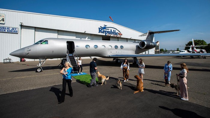 A woman shows a dog’s boarding pass after boarding a plane during a press event introducing Bark Air, an airline for dogs, at Republic Airport in East Farmingdale, New York, May 21, 2024. REUTERS/Eduardo Munoz