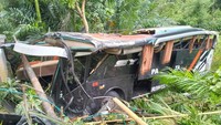 Bus Rombongan Study Tour Terjun ke Jurang di Lampung, 6 Orang Terluka