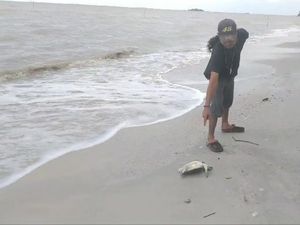 Nelayan di Bangka Selatan Keluhkan Limbah, Ngaku Tak Dapat Ikan