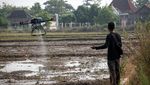 Canggih! Petani Sukoharjo Pakai Teknologi Drone untuk Pertanian