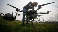 Petugas Dinas Pertanian dan Perikanan Sukoharjo memeriksa drone pertanian sebelum melakukan penyemprotan herbisida di area persawahan kawasan Nguter, Sukoharjo, Jawa Tengah, Kamis (23/5/2024).
