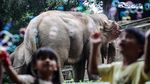 Libur Waisak, Pengunjung Serbu Kebun Binatang Ragunan