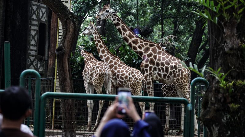 Taman Margasatwa Ragunan (TMR), Jakarta, menjadi tempat wisata favorit warga Jakarta dan sekitarnya. TMR dipadati pengunjung saat libur Waisak hari ini.