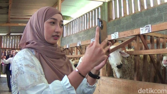 Para SPG mempromosikan kambing kurban di Wonosobo, Kamis (23/5/2024).