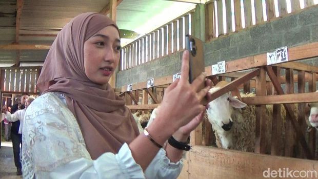 Para SPG mempromosikan kambing kurban di Wonosobo, Kamis (23/5/2024).
