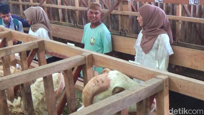 Para SPG mempromosikan kambing kurban di Wonosobo, Kamis (23/5/2024).