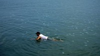 Warga berenang di antara ubur-ubur yang bermunculan di Pantai Mayangan di Probolinggo, Jawa Timur, Rabu (23/5/2024).