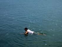 Penampakan Ubur-ubur Bermunculan di Pantai Mayangan Probolinggo