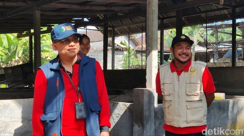 Petugas mendatangi peternak babi di Karangasem setelah belasan warga terserang meningitis.