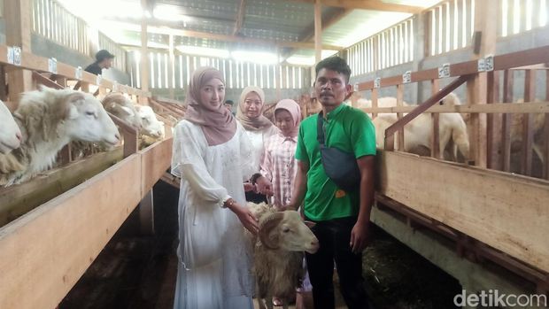 Salah satu SPG kambing kurban di Wonosobo bersama calon pembeli, Kamis (23/5/2024).